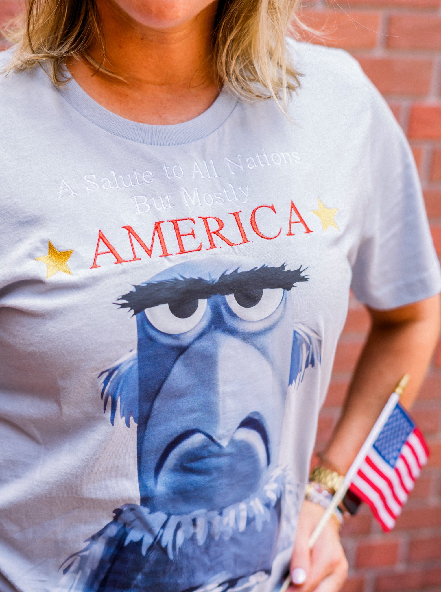 Sam Eagle Mostly America Tee