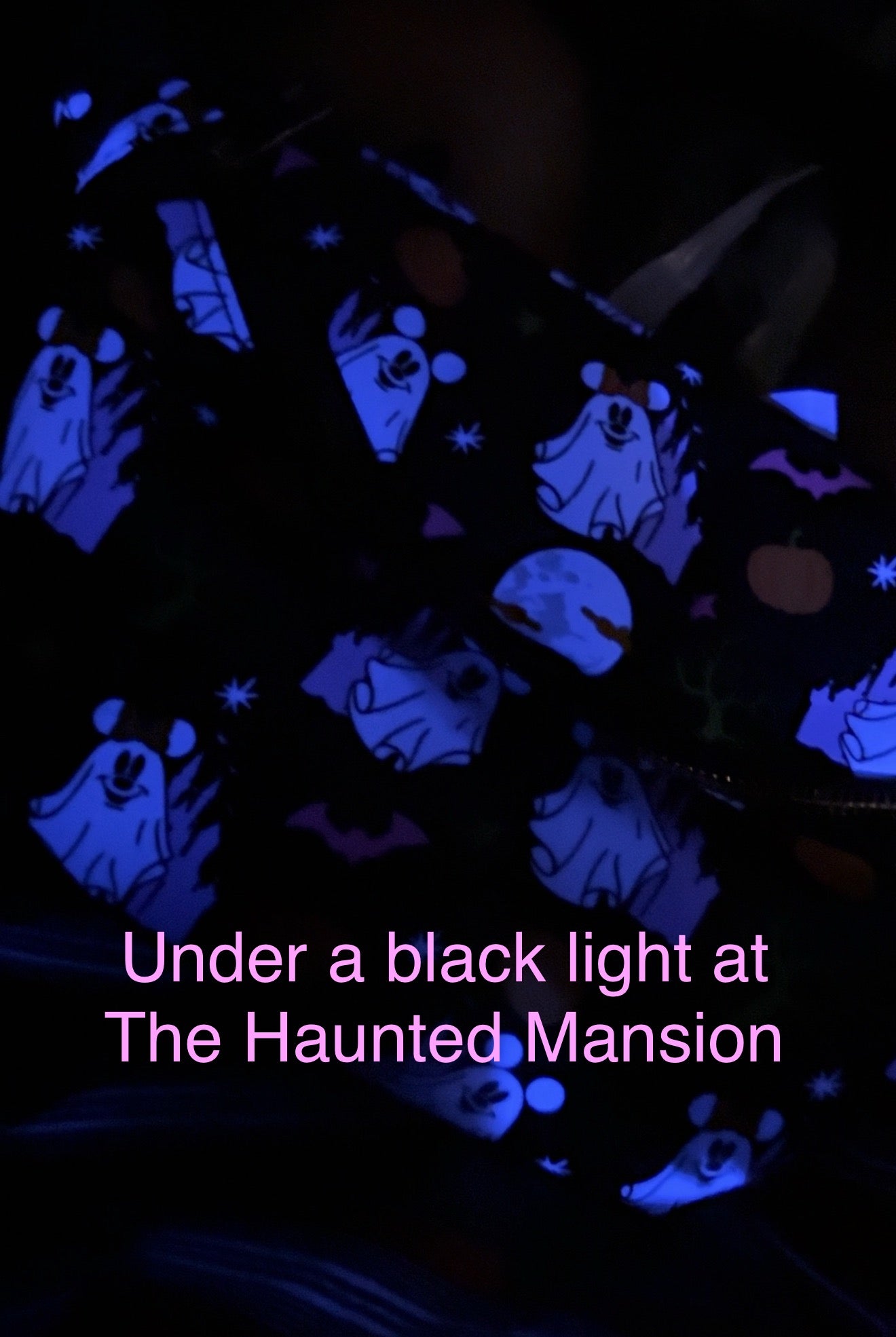 Haunted Castle Fanny Pack